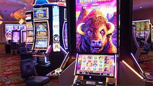 688v com bet